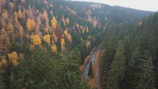 Discover Nature - Erzgebirge mit Tobias Ohmann | Folge 1: Die Natur | S2E13