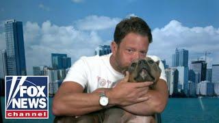 Dave Portnoy's rescue dog Miss Peaches goes viral: 'The sweetest angel'