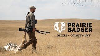 Prairie Badger | Coyote Hunt Sizzle