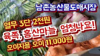 의성육쪽, 홍산마늘 모두  쏟아지다. 오이지용 오이 가격하락