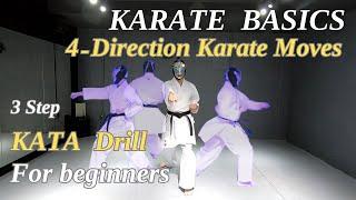 4-Direction Karate Moves for beginners | Traditional karate training at home / Explained in detail