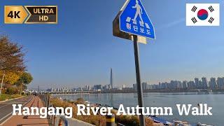 Autumn Walk Along the Han River  Dduk Sum to Jamsil Bridge  Seoul Views & City Life