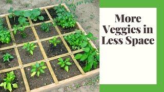 Square Foot Gardening 101: Small Space Self Sufficiency