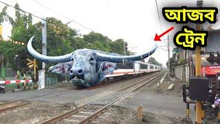 এমন ট্রেন দেখতে ভাগ্য থাকা দরকার | most amazing train in the world