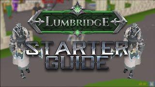 ULTIMATE STARTER GUIDE | Lumbridge *NEW CUSTOM RSPS*