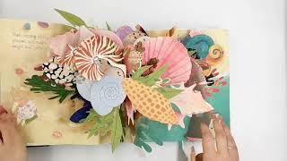 Shells A Pop Up Book of Wonder