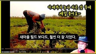 아프리카 농부. 땅콩을 처음 수확해 봤는데.. 새마을 필드보다 훨씬 더 잘 지었다.