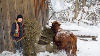 1 Day in the life of the INDIGENOUS inhabitants of the Carpathians - HUTSULIV In winter