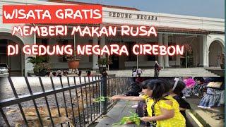 Wisata Gratis Memberi Makan Rusa Di Gedung Negara Cirebon | Wisata Cirebon | Wisata Edukasi |