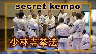 hangetsu geri,K aishin zuki, tembin. Kawashima, Yamasaki. Secret techniques Shorinji Kempo.武道少林寺拳法