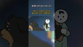 사람이 미안해, 용맹한 방카르의 아픈 과거