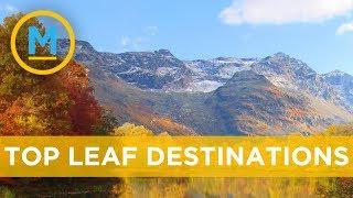 The most spectacular places in Canada to check out fall foliage | Your Morning