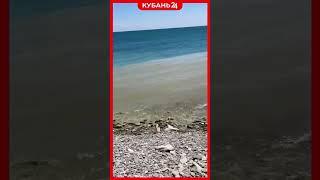 Зеленую воду в синее море слили с земельного участка в Новороссийске