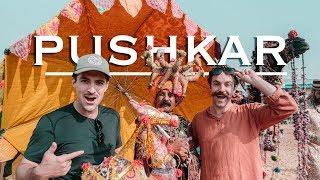 Pushkar Camel Fair | India's Best Festival?