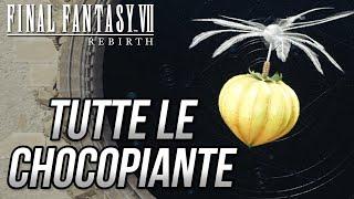 FINAL FANTASY 7 REBIRTH (ITA) - Tutte e 50 le Chocopiante