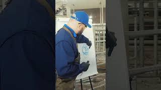 Специалист Zinpro о хромоте #сельскоехозяйство #корова #ферма #ветеринар #животные #фермерство #крс
