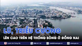 Lũ, triều cường lên cao trên hệ thống sông ở Đồng Nai - VNews