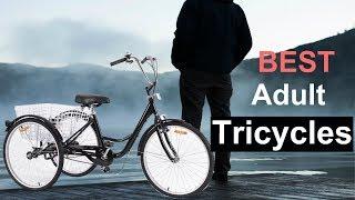 Top 5 Best Adult Tricycles in 2024 | Best Three Wheel Bikes