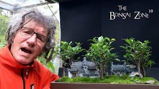 My Chinese Village Penjing, Show Prep, Part 1, The Bonsai Zone, Sept 2023