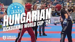 Fin Heesom | Hungarian Kickboxing World Cup 2024 (All LC Fights)