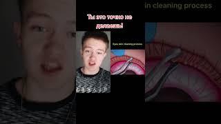 Интересный факт о гигиене глаз, который шокирует тебя Тик ток факт.