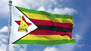 Zimbabwe Flag Animation Stock Motion Graphics