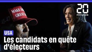 Présidentielle américaine 2024 : Trump ou Harris ? Que disent les derniers sondages ?