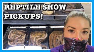 REPTILE SHOW | New Pickups at All Maryland Reptile Show September (2020) | Ball Python Breeding