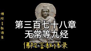 378.第三百七十八章 无常等九经《佛陀言教语录》