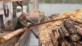 Efficient Forest Sawmill: Transforming Huge Trees into Chips