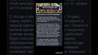 советы агронома по высаживанию культуры.