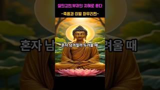 인생고민 부처님의 지혜로 듣다-죽음과 이별 마무리편- 제7화 혼자 남겨질까 두려울때 #부처님말씀 #명언 #긍정적마인드 #부처님가르침 #인생고민 #자기수행