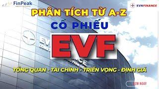 Cổ Phiếu EVF (EVNFinance): ĐIỂM SÁNG Ngành Tài Chính | NIM Cải Thiện, LLR Vượt Trội - Đáng Đầu Tư?