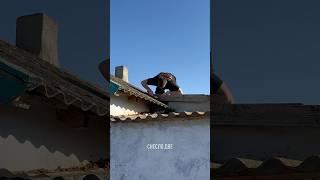 сдуло новостройки #reels #обзор #товарка #бизнесснуля