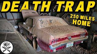 Will the RUSTIEST Barn Find Mustang RUN & DRIVE 250 Miles Home After 25 YEARS?