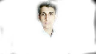 مجتبی روزبه
