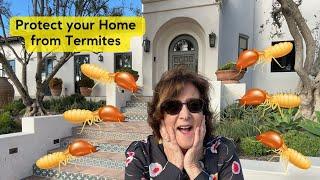 Protect your home from termites