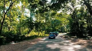Beautiful landscape on the Road to Darjeeling