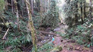 Peabody Creek Trail | Olympic National Park | Port Angeles, Washington