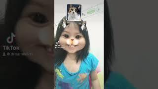 Mèo ú