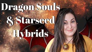 Are you a Dragon? Starseed Hybrid Origins of Dragon Souls from the Dragon Realm