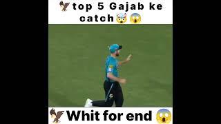 टॉप 5कैच| #cricket #msdhoni #cricketlover #shortvideo #cricketshorts #sport #trending #top#catch