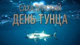 Сахалинский тунец! Соревнование по ловле тунца, разделка огромной рыбы и многое другое