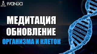 Медитация Обновления Организма | Исцеляющий Водопад Космической Энергии  Ливанда