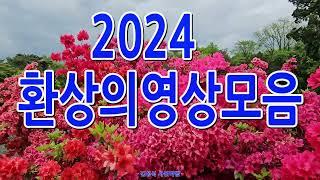 2024 환상의 영상모음 / 창경궁 꽃 설경 도봉산 북한산 창포원 강원도한계령 강원도영월섶다리 성균관대은행나무 한강노을 자라섬 양주나리공원 서울대공원 월드컵공원 올림픽공원 드림파크