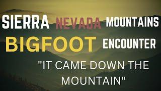 SIERRA NEVADA MOUNTAINS BIGFOOT ENCOUNTER | DREDGING IN THE WILDERNESS