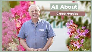 All About Crepe Myrtles | The Greenery Garden & Home