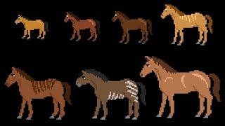 Prehistoric Horses - The Kids' Picture Show