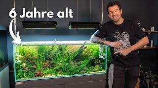 The last video of our oldest aquarium!