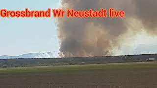 Braking News Großbrand Wr Neustadt